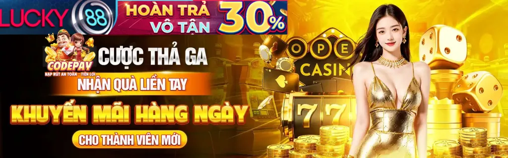 Phần câu hỏi thường gặp về chương trình VIP